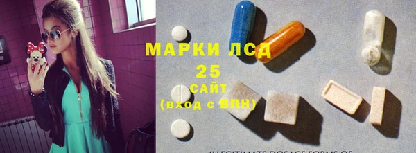 бошки Елабуга