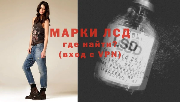 бошки Елабуга