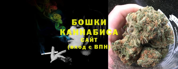 гидра Ельня