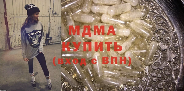 гидра Ельня