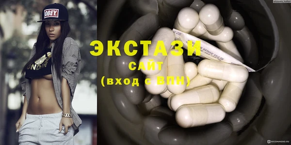 гидра Ельня