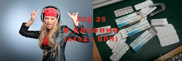 гидра Ельня