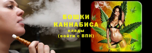 гидра Ельня