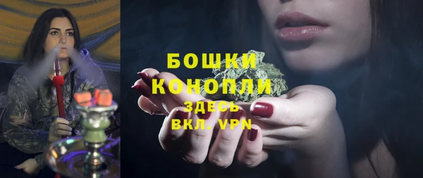 гидра Ельня