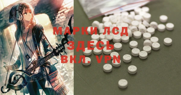 бошки Елабуга