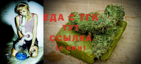гидра Ельня