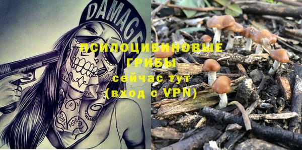 гидра Ельня