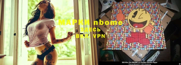 гидра Ельня