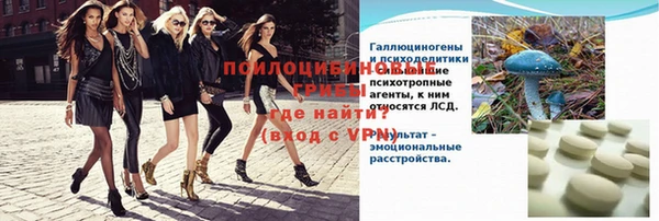 гидра Ельня