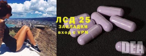 бошки Елабуга