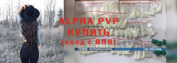 гидра Ельня