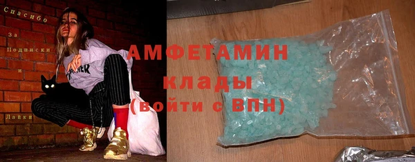 гидра Ельня