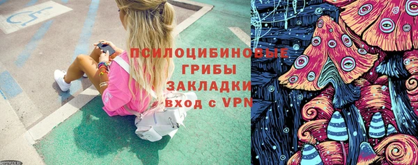 гидра Ельня
