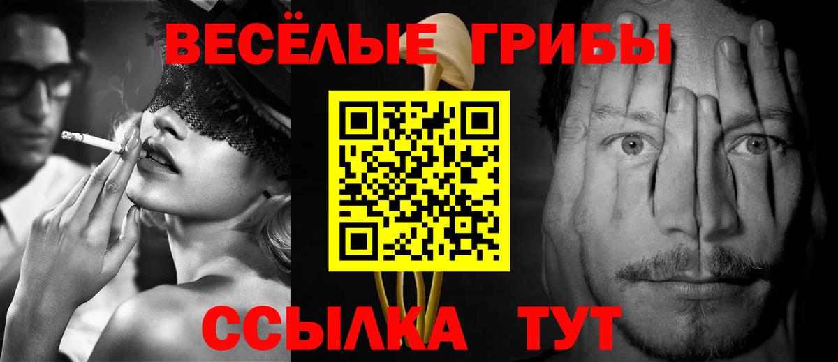 Галлюциногенные грибы Psilocybine cubensis Сальск