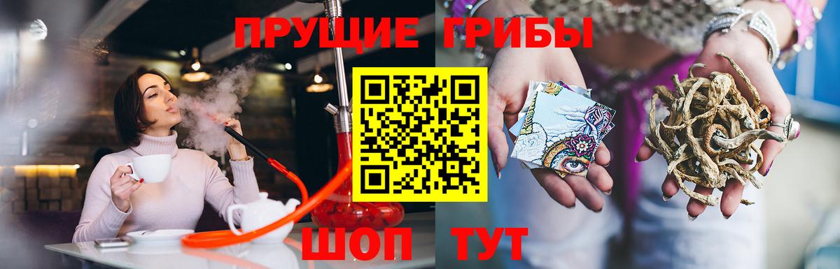 даркнет сайт  Вход с VPN  Сальск  Галлюциногенные грибы ЛСД 